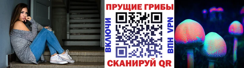 OMG маркетплейс  Западная Двина  Псилоцибиновые грибы GOLDEN TEACHER  купить наркоту 